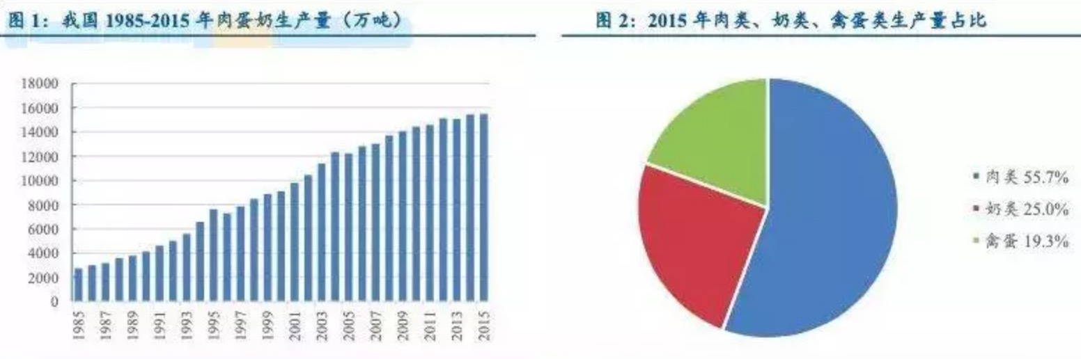 肉蛋奶生产量